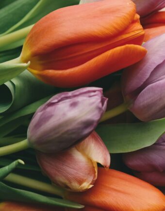 Fresh flowers