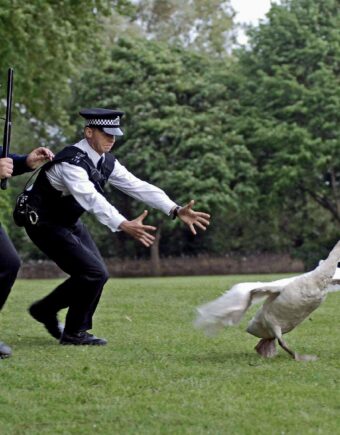 hot fuzz spoof police movie