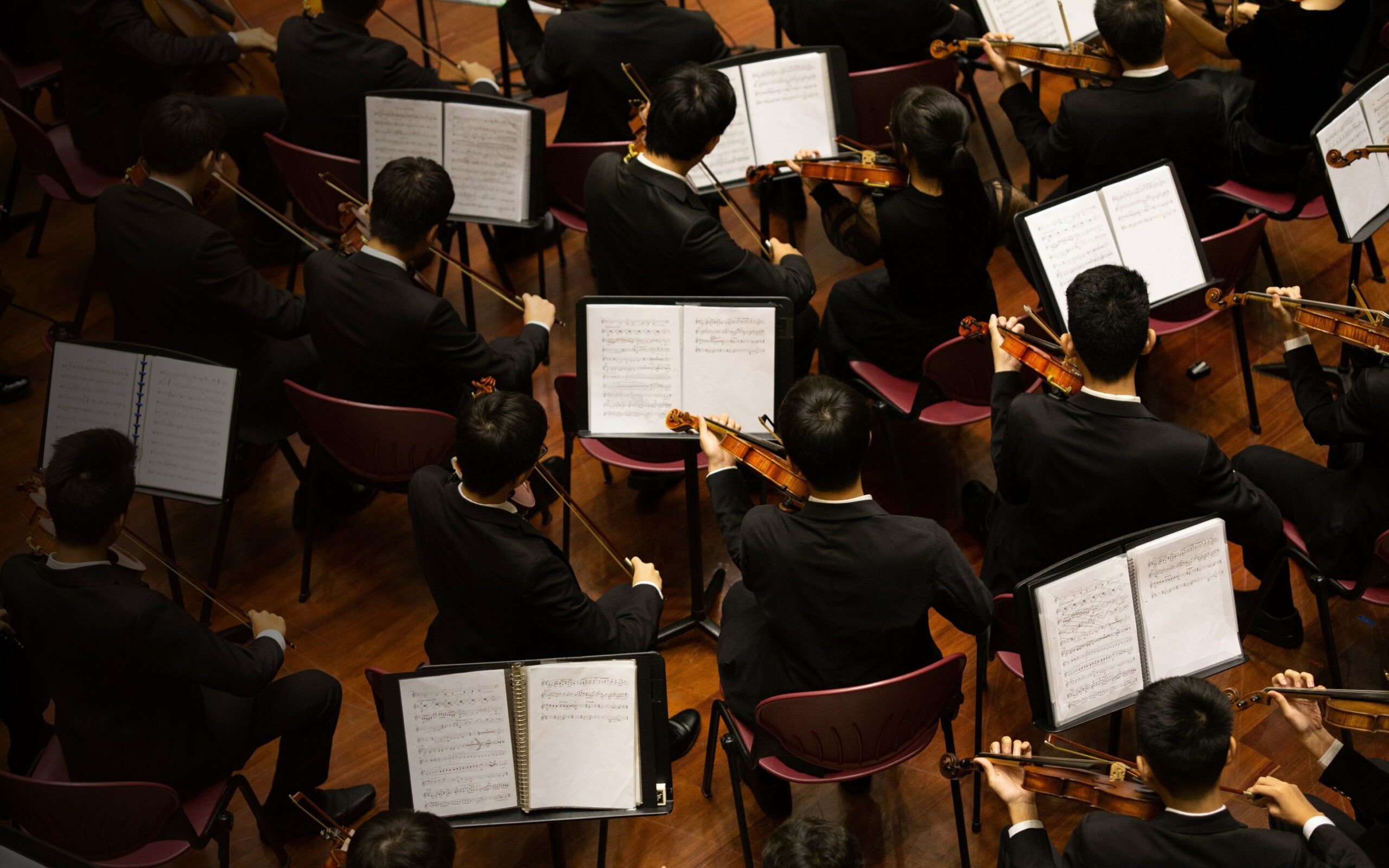 An orchestra play together