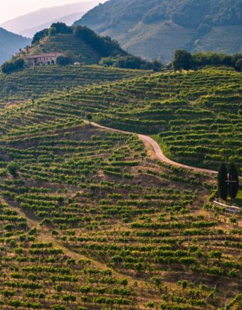 Rolling hills in Veneto