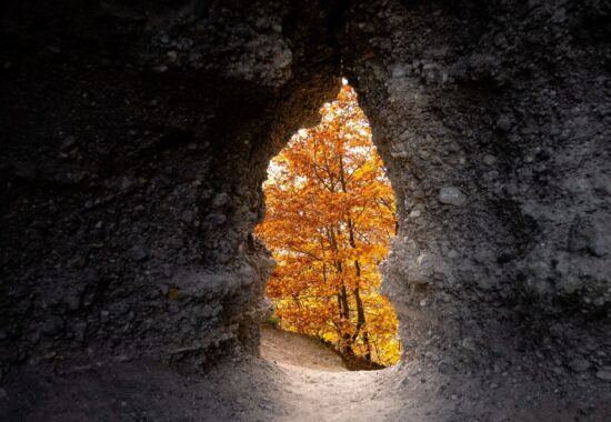 A glimpse at autumnal trees through a hole in a wall