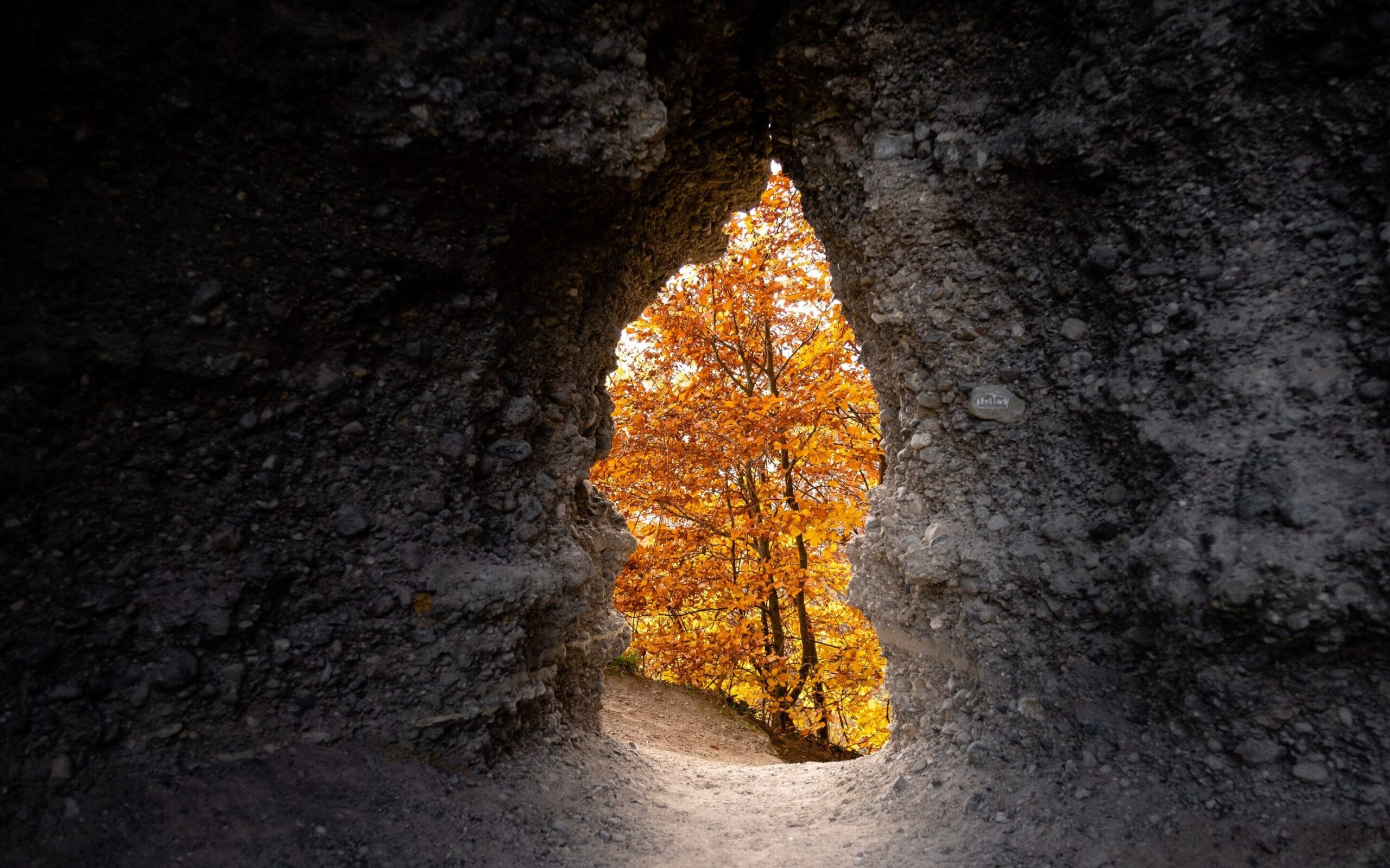What Is Framing In Photography
