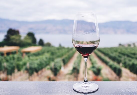 wine glass in a vineyard