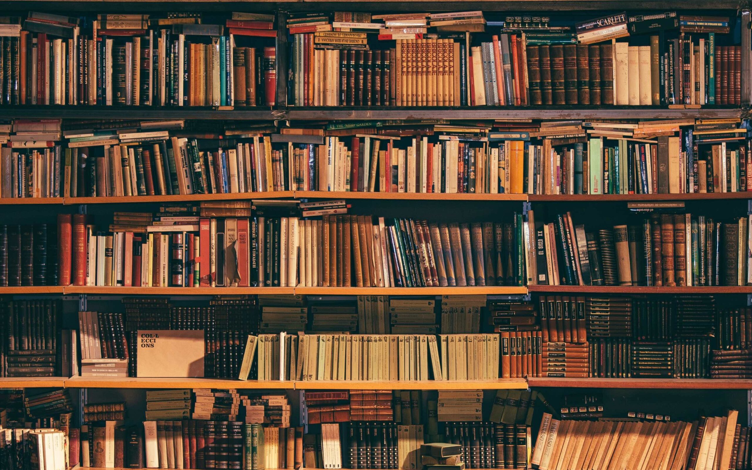 A book shelf